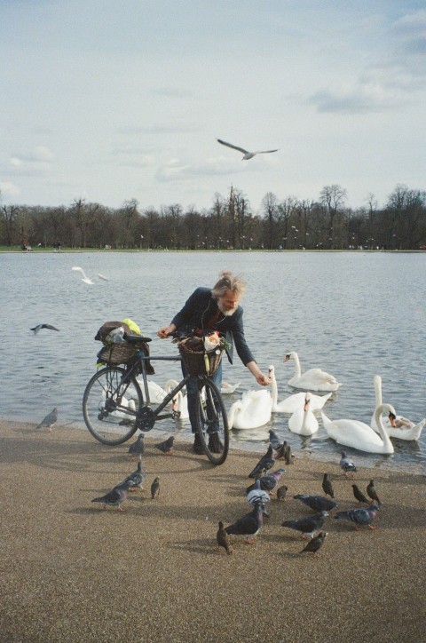 a man on a bicycle feeding birds by the water