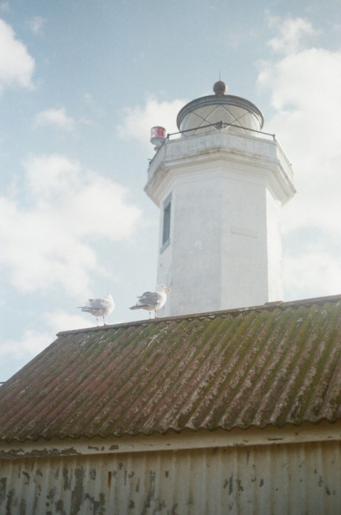 a white lighthouse on top of a building