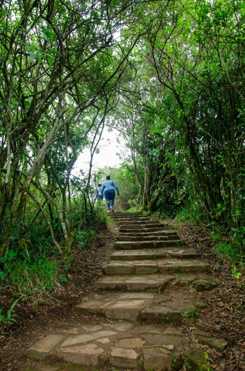 person in blue jacket walking on gray concrete stairs