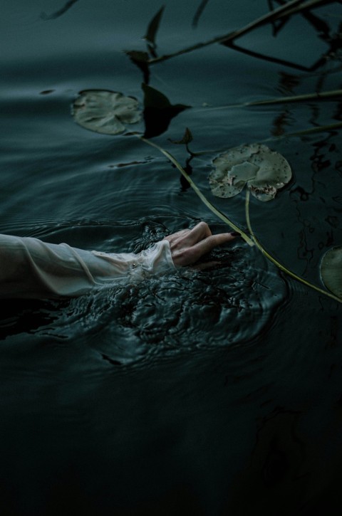 a person swimming in a body of water