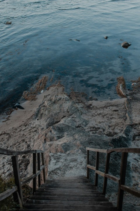 brown wooden ladder