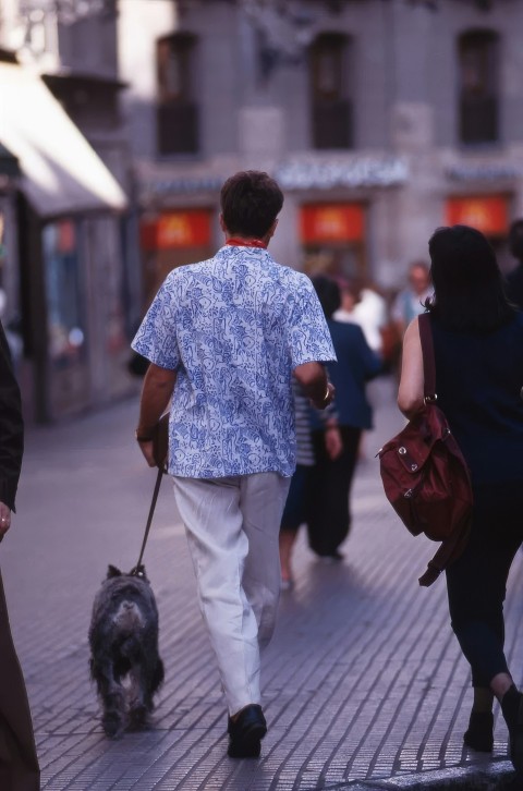 a group of people walking down a street with a dog