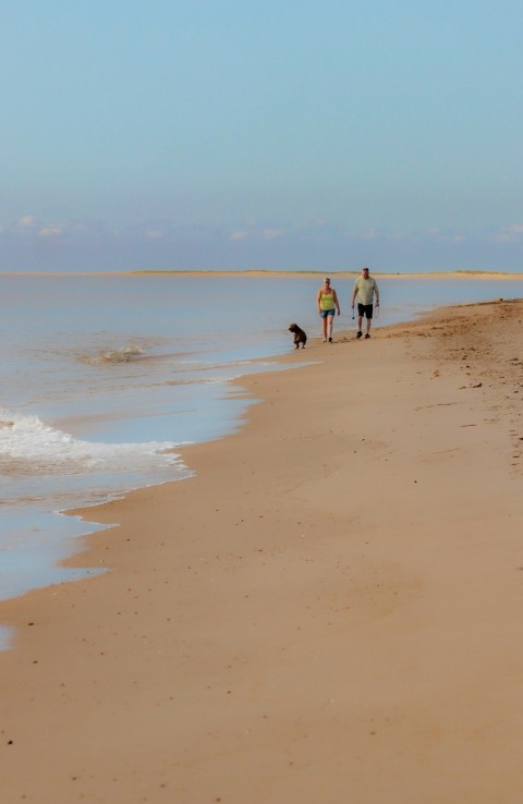 two people and a dog walking on a beach