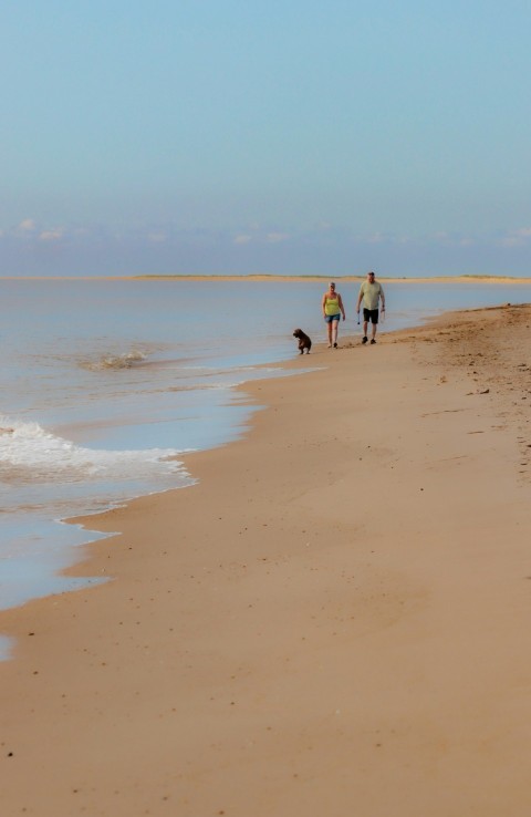 two people and a dog walking on a beach