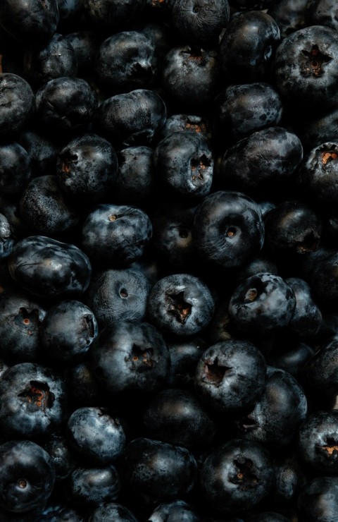 black round fruits on black steel rack