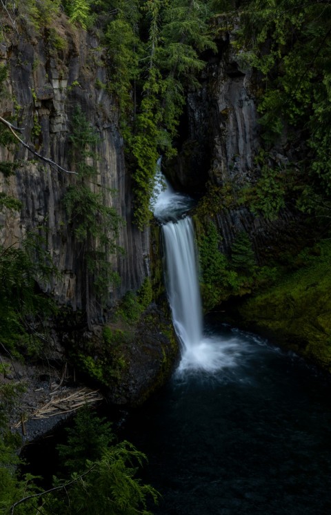 a waterfall in a forest