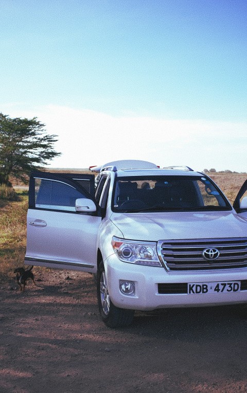 silver nissan suv on brown soil ks