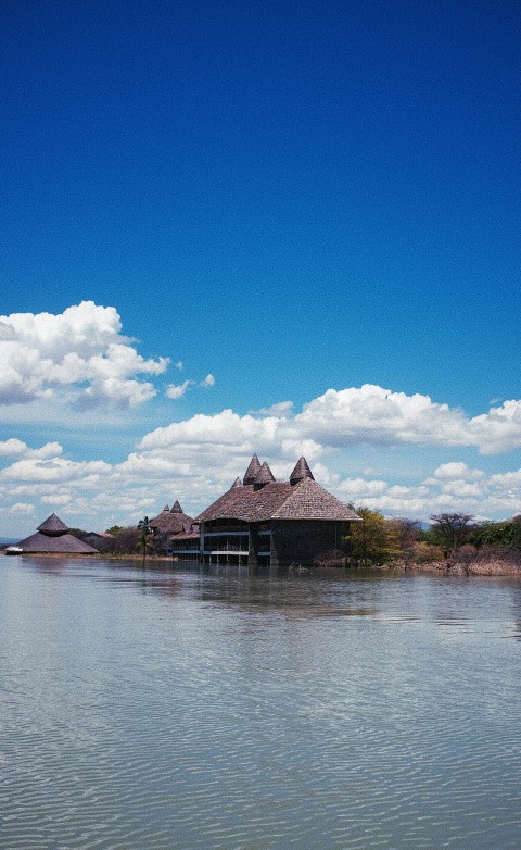 brown and white house near body of water under blue sky during daytime