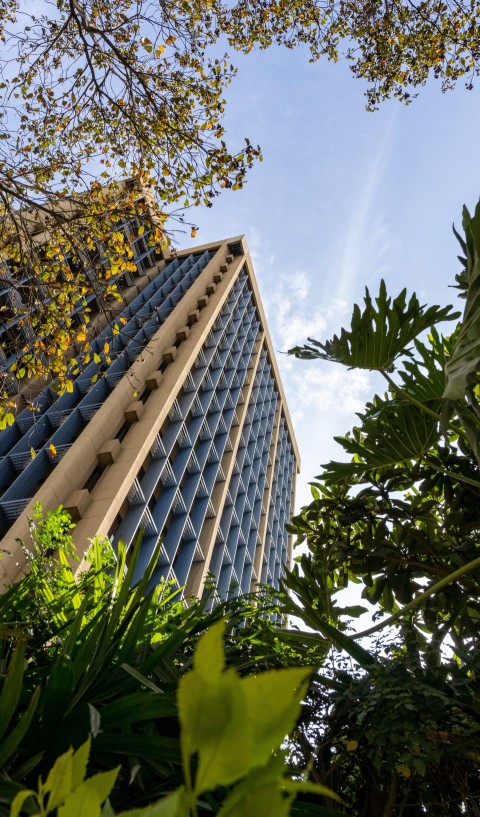 a tall building with trees around it