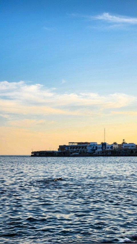 a large body of water with buildings in the background