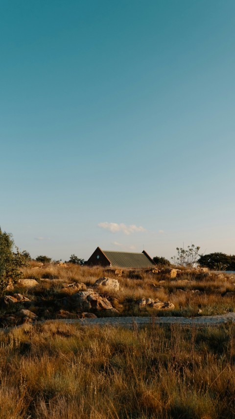 a field with a house in the distance