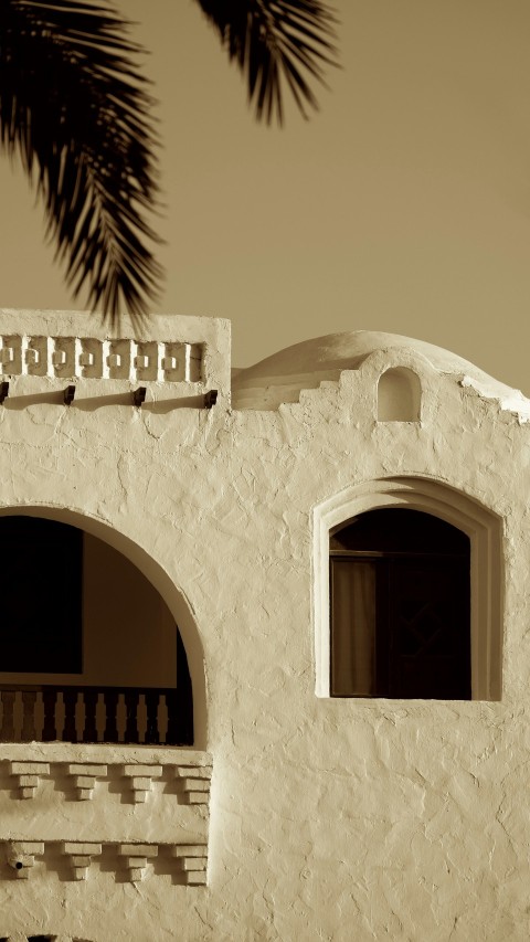 a white building with two windows and a palm tree