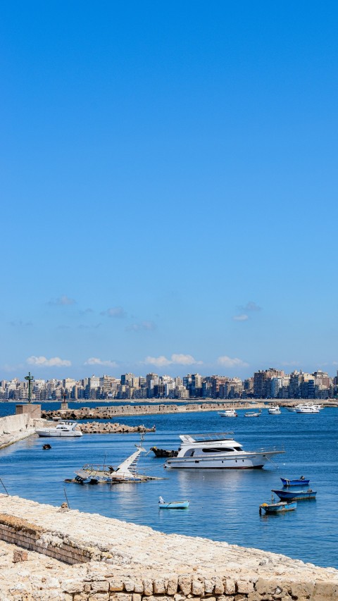 boats in the water