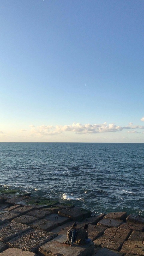 a person sitting on the edge of a brick walkway near the ocean