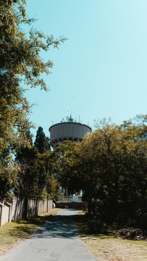 a road with trees and a water tower in the background