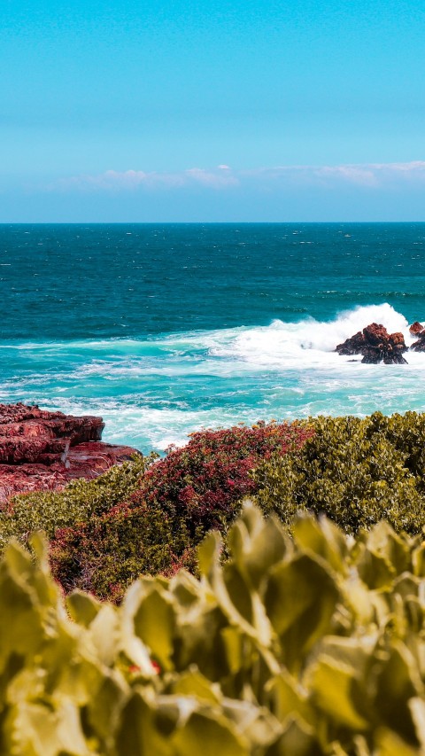 green moss on rock formation by the sea during daytime