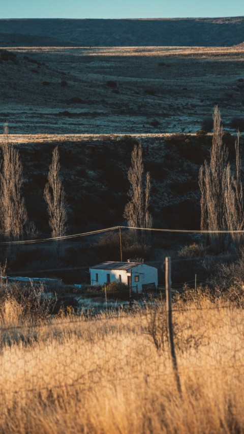 a house in a field with trees in the background