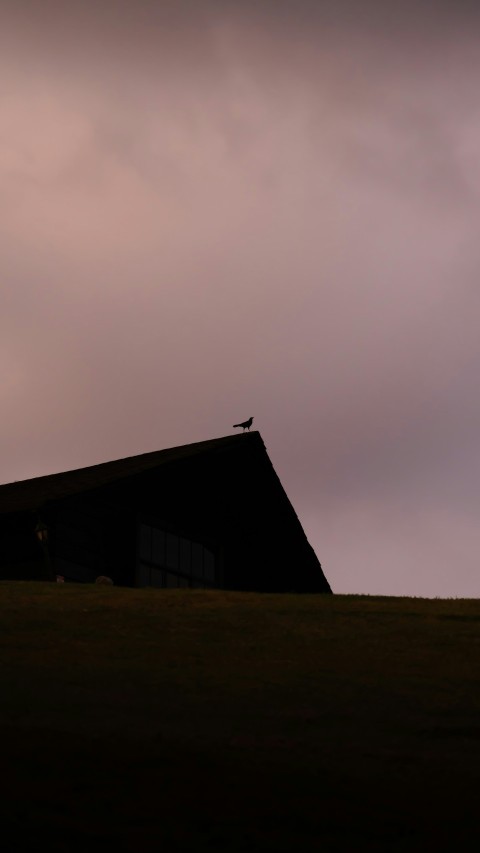 a person standing on top of a hill under a cloudy sky