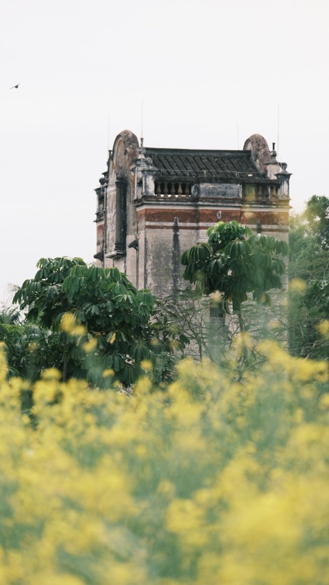 a tall tower with a clock on top of it