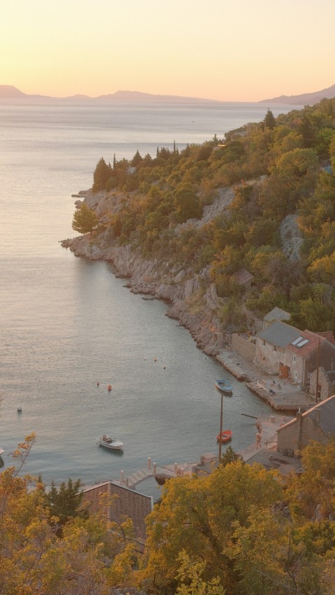 a view of a body of water surrounded by trees