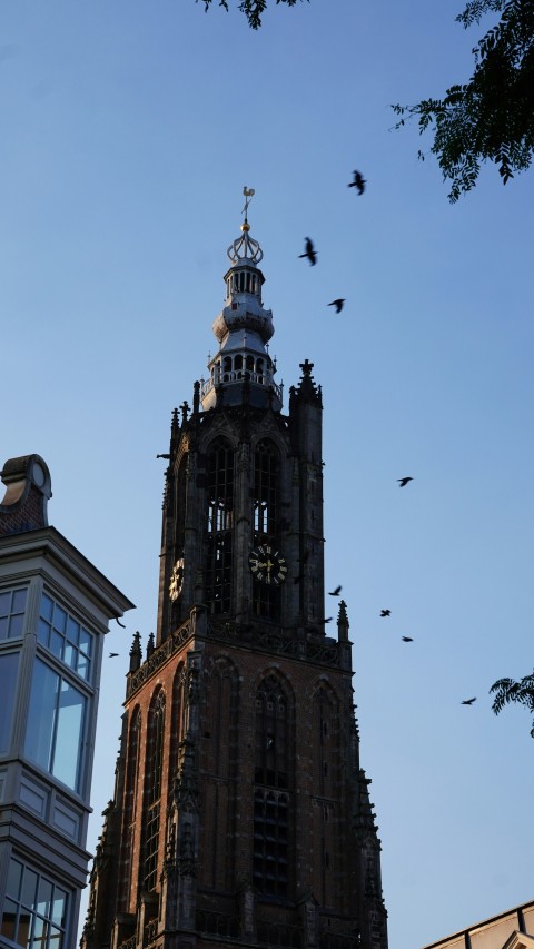 a tall tower with a clock on the top of it