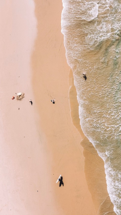 people on beach during daytime