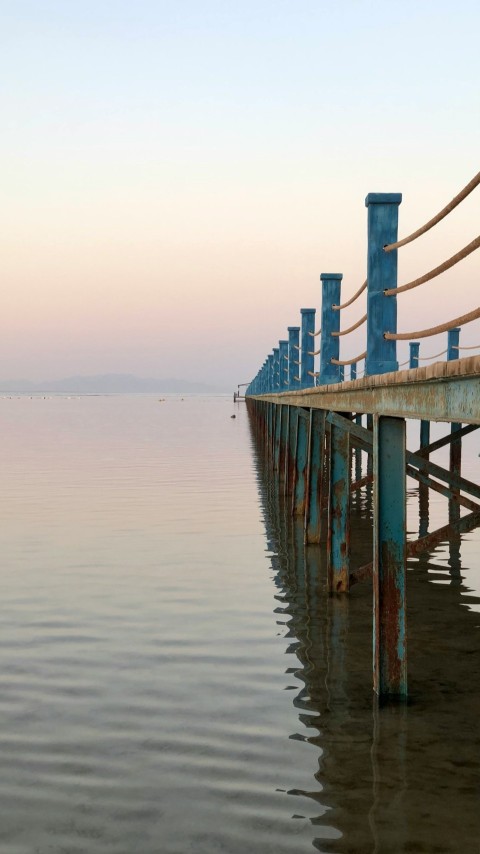 brown wooden dock on sea during daytime