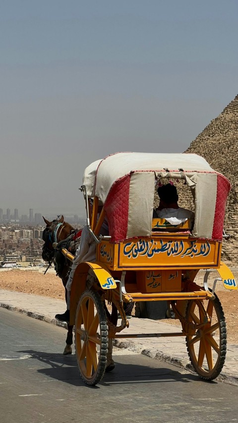 a horse drawn carriage traveling down a road P9u