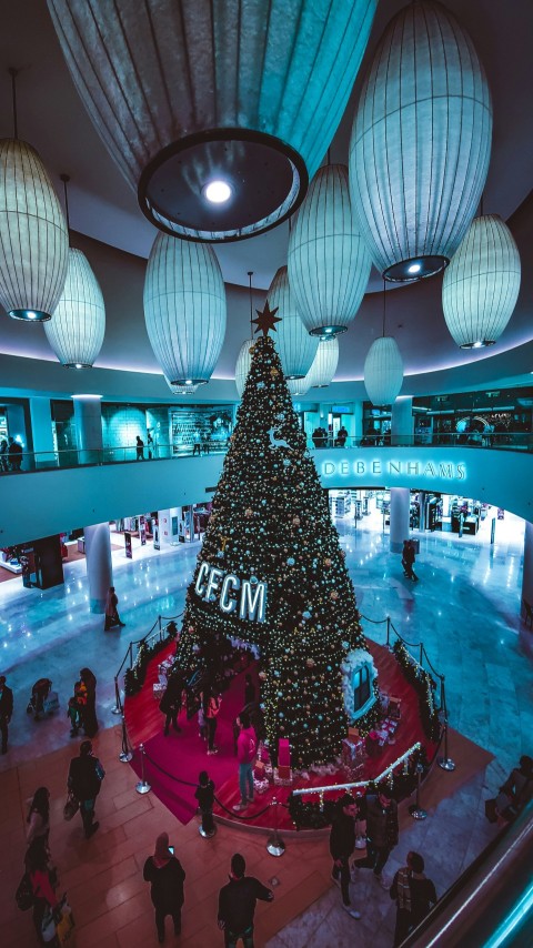 people near green holiday tree