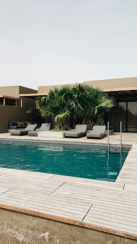 a pool with lounge chairs and a deck with a palm tree