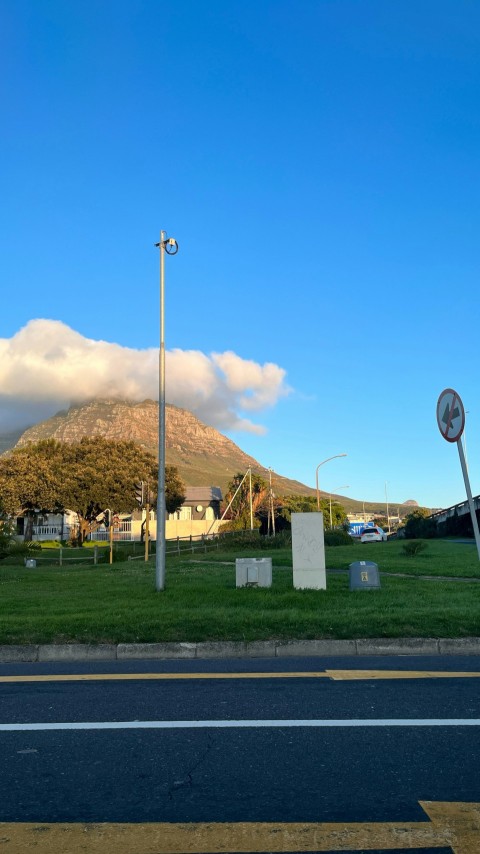 a grassy field with a mountain in the background