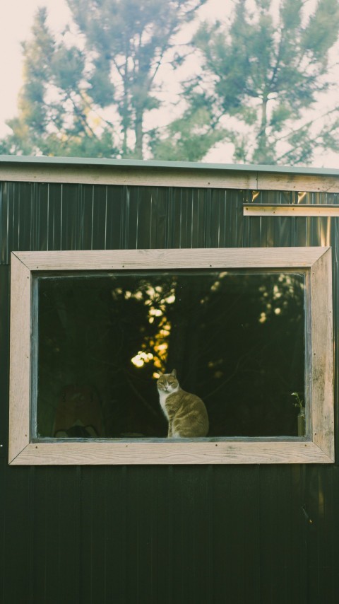 a cat sitting in the window of a small house