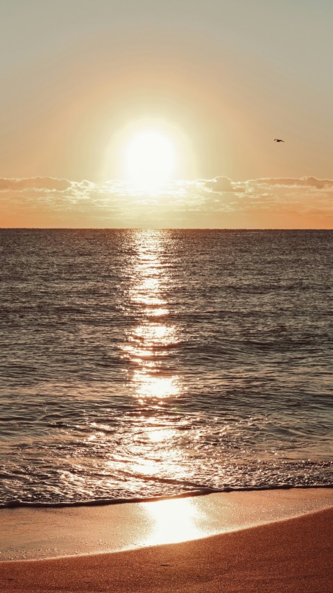 the sun is setting over the water on the beach