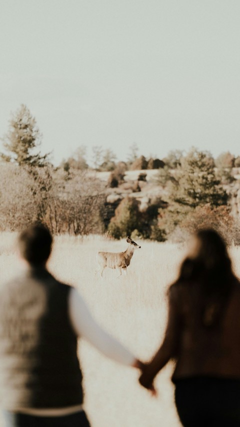 a couple of people that are walking in the grass