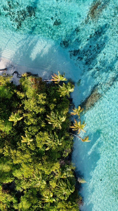 an aerial view of a tropical island in the middle of the ocean