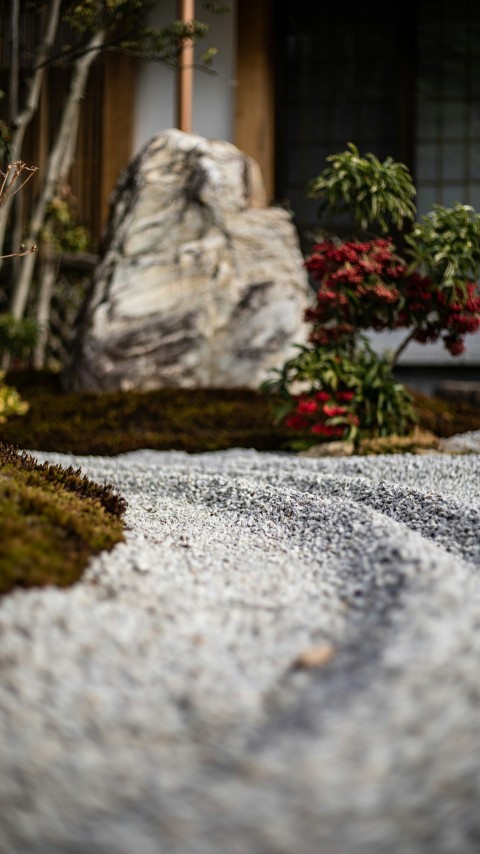 a rock and grass area in front of a house v7fCjG