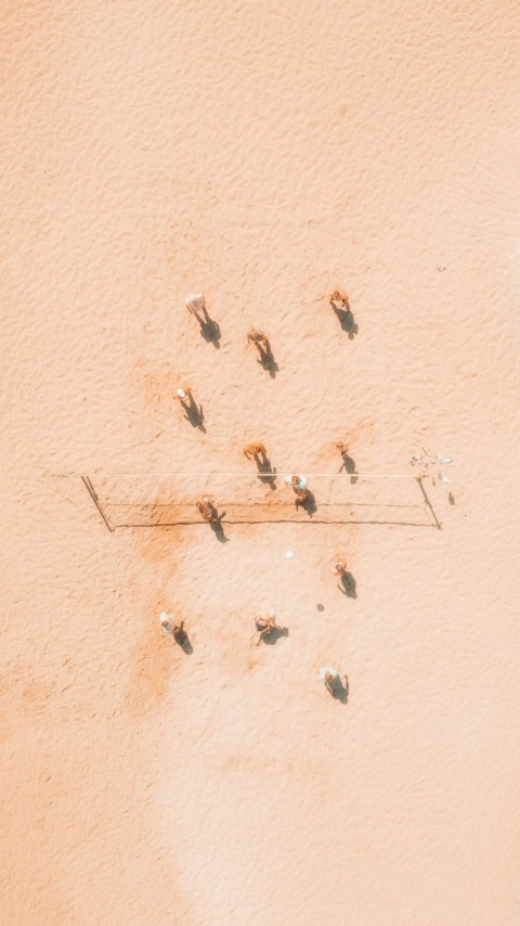 a group of people walking on a sandy beach