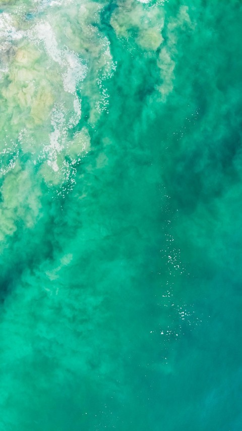 close up photography of body of water