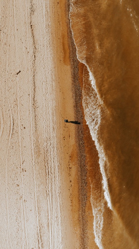 brown sand with white paint