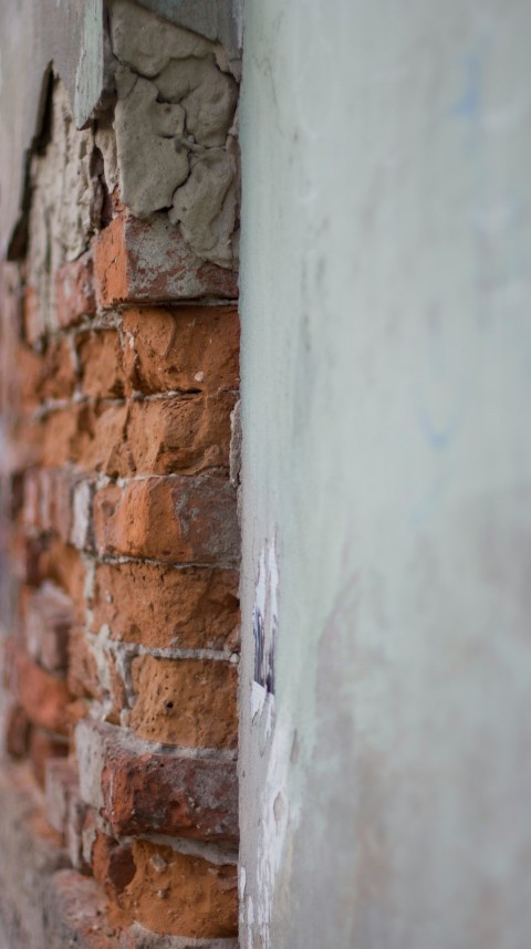 brown and gray cracked wall