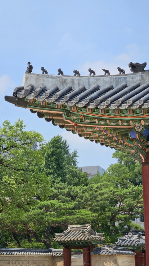 a group of birds sitting on top of a roof