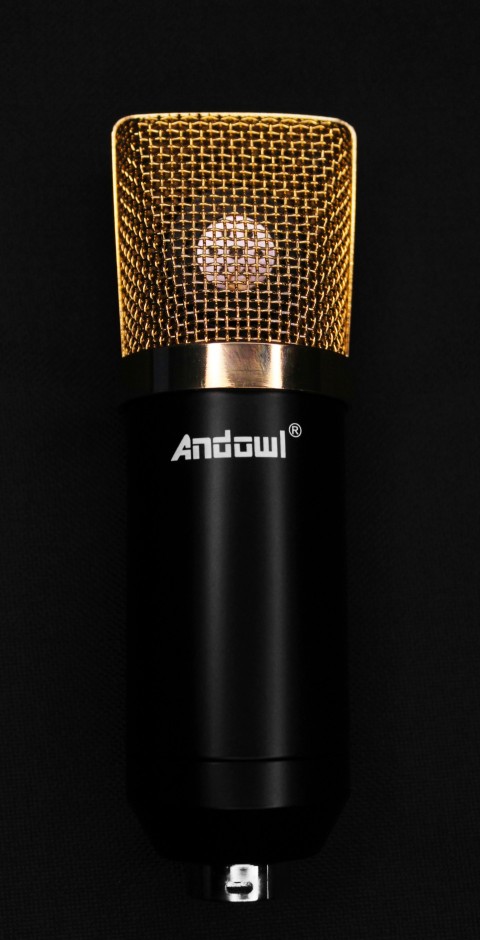 black and gold microphone on black textile