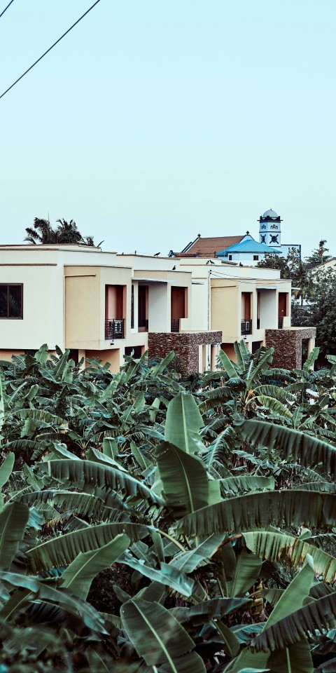 green plants beside beige concrete house during daytime 6l