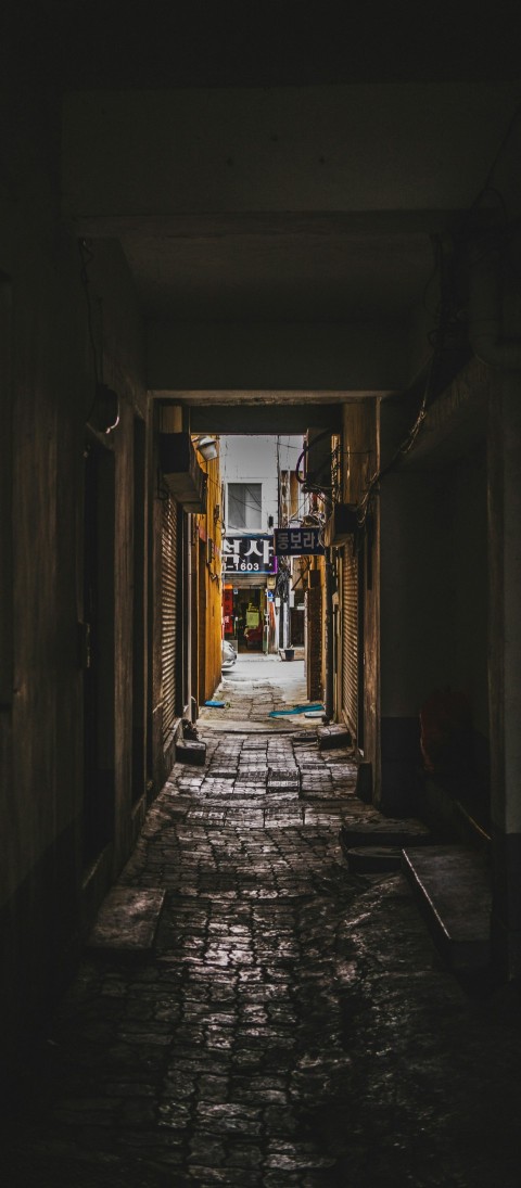 empty street between house