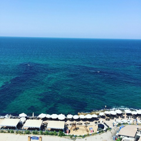 aerial photography of city near sea during daytime