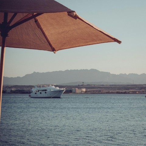 white and brown boat on sea during daytime