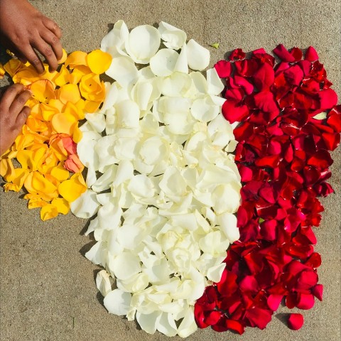 white and red roses on gray concrete floor