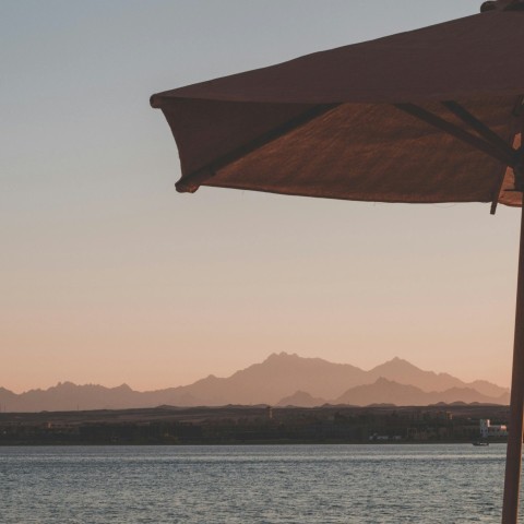 brown umbrella near body of water during daytime d0b6