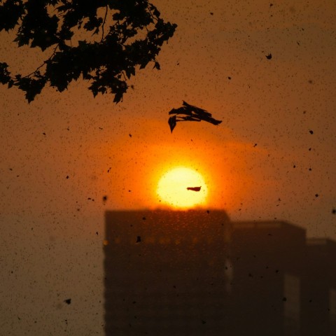 the sun is setting behind a building with a bird flying in front of it