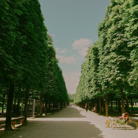 a couple of people sitting on a bench in a park